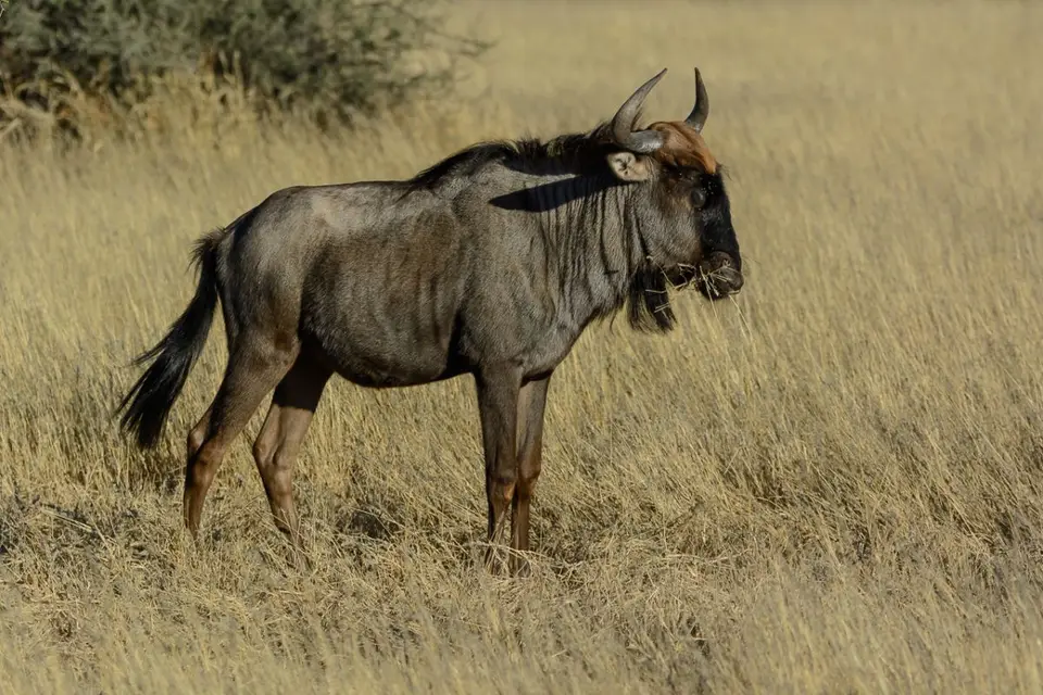 hd451e40.JPG