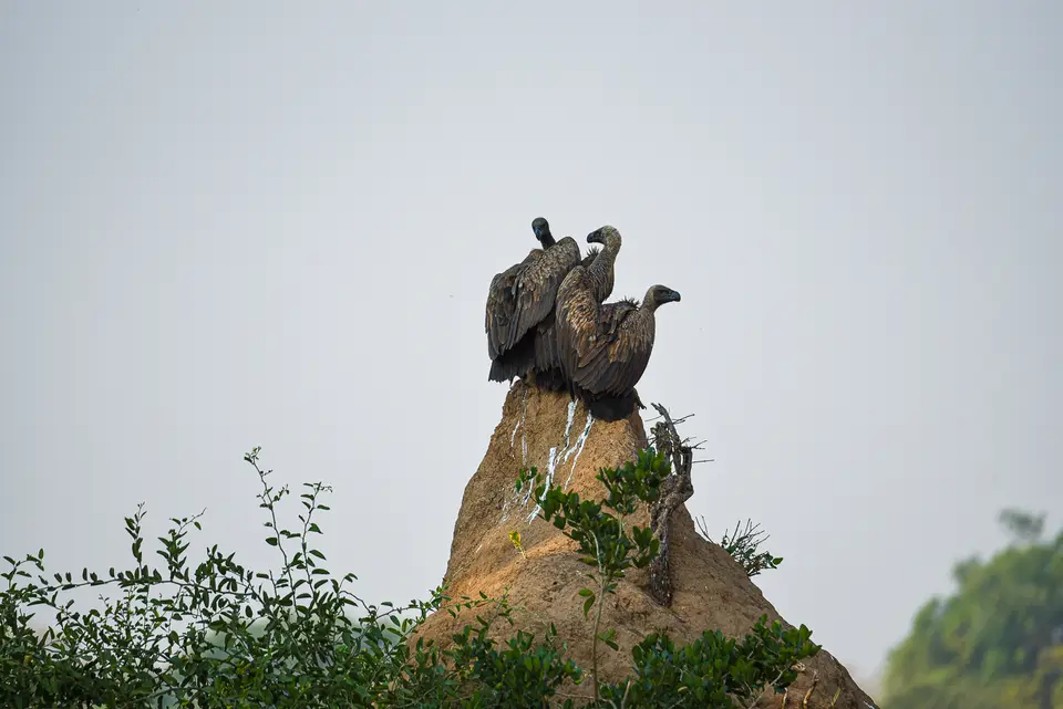 DSC_0283-2.jpg