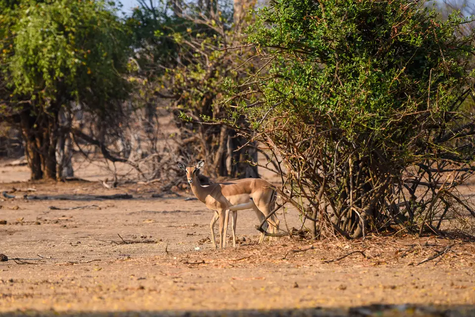 DSC_0318.jpg