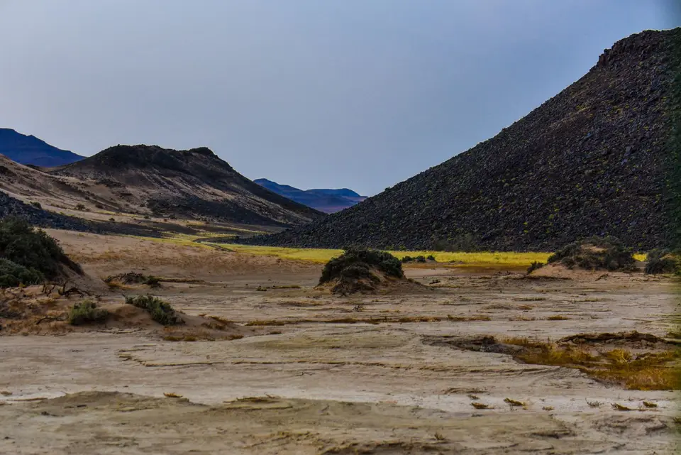 DSC_0594-2.jpg