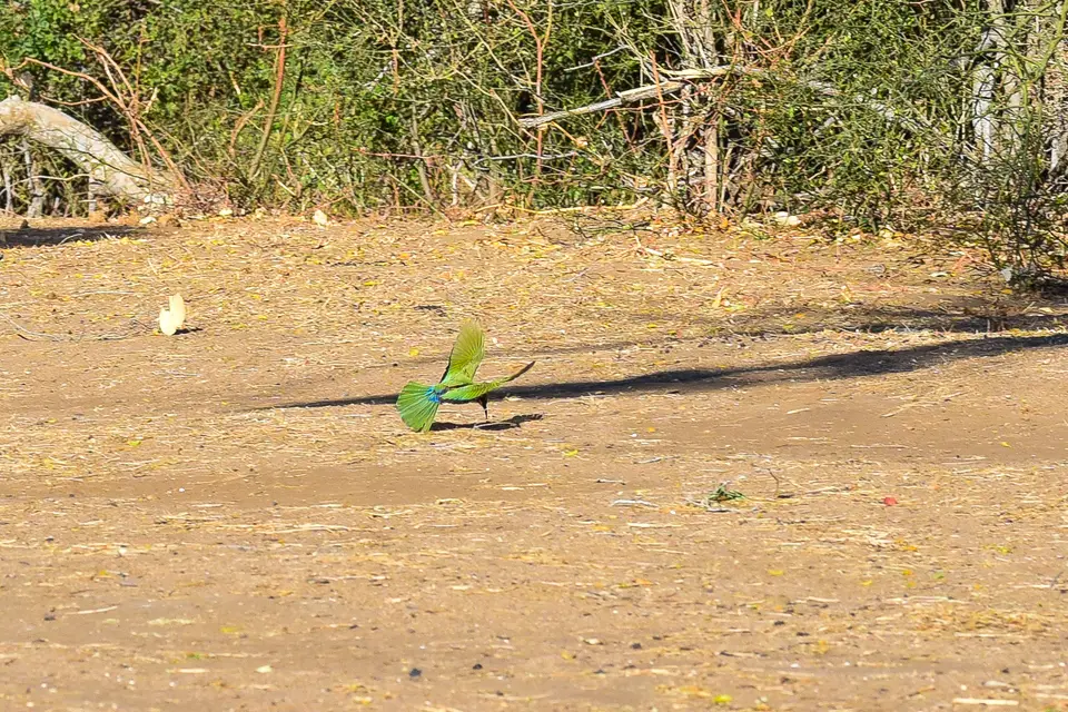 DSC_1002.jpg