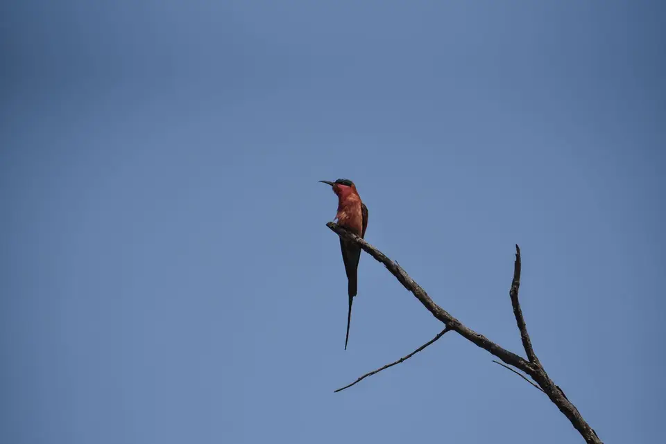 DSC_1828.jpg