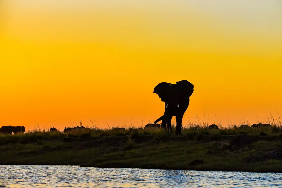 chobevic(23von44).jpg