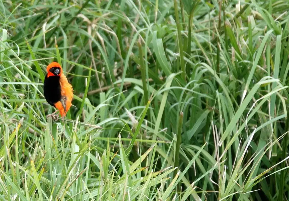 005-2-3.JPG