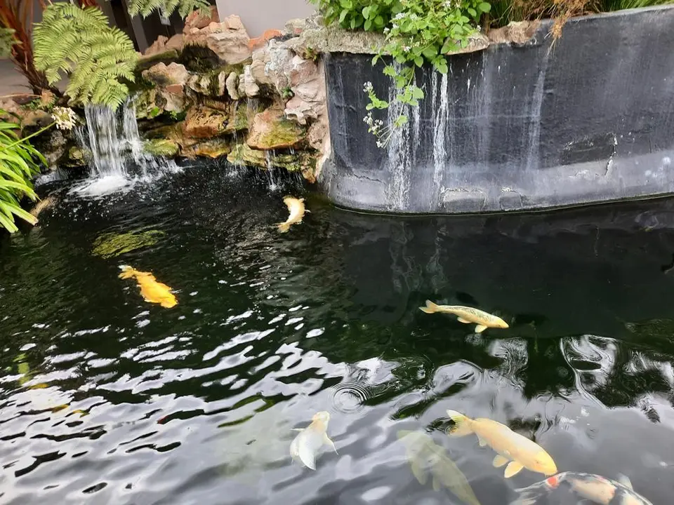 19-2-3-4.JPG