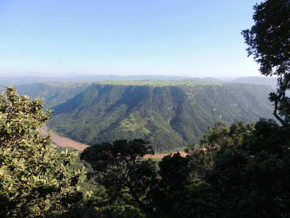 h332172a.JPG