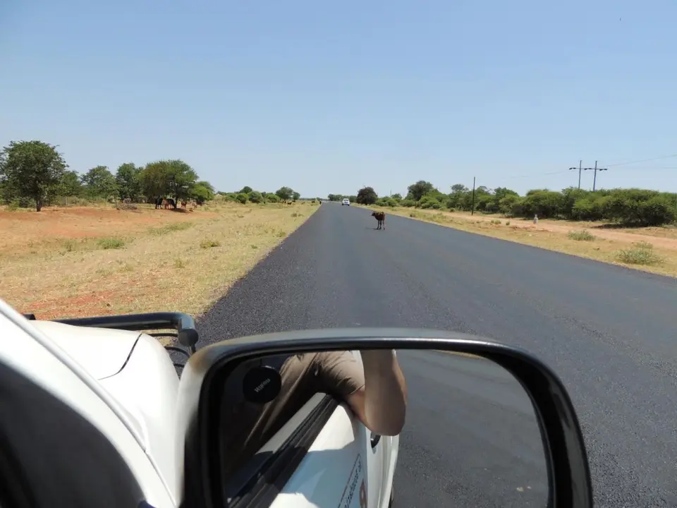 h5cf6506.JPG