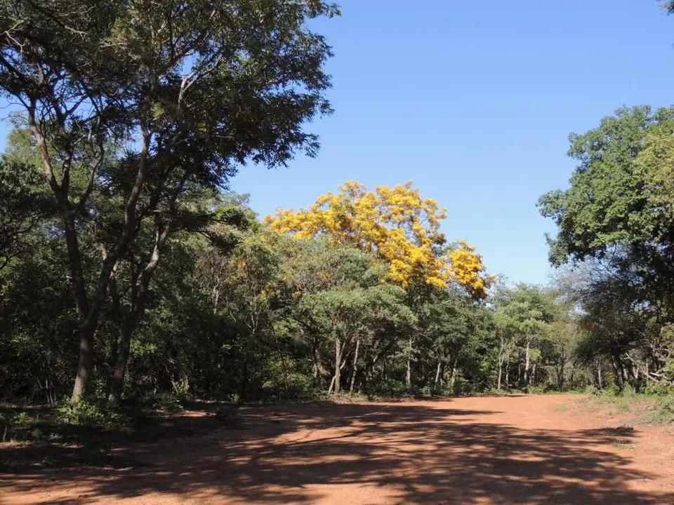 h73d8502.JPG