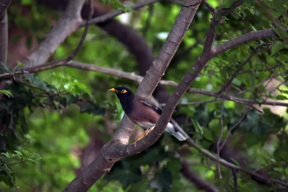 h73d9eda.JPG