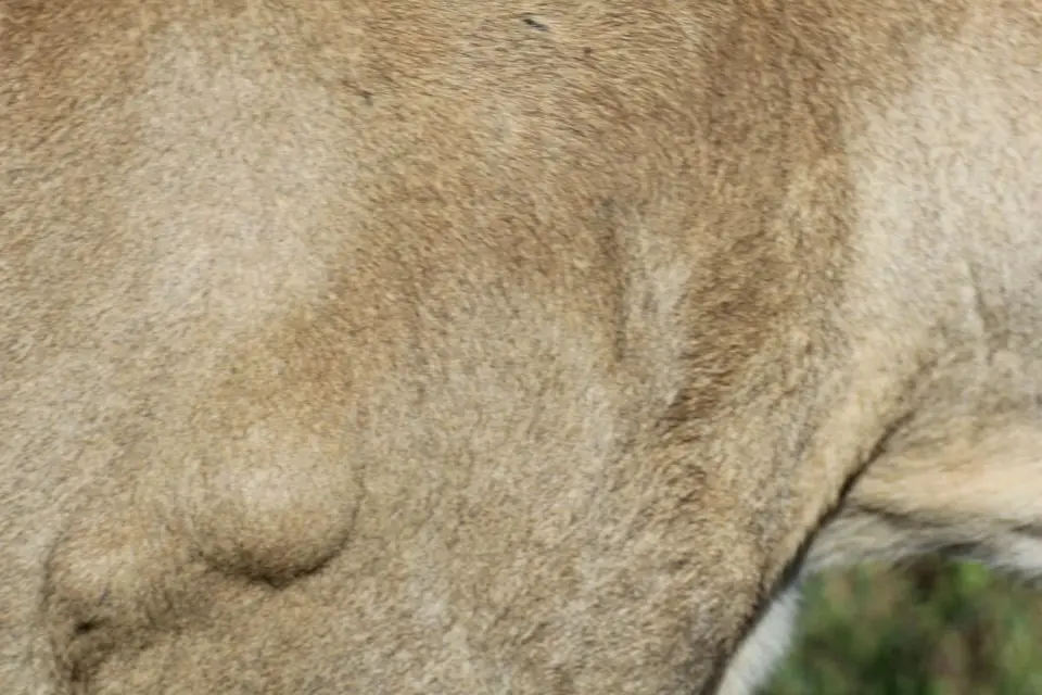 hb193c77.JPG