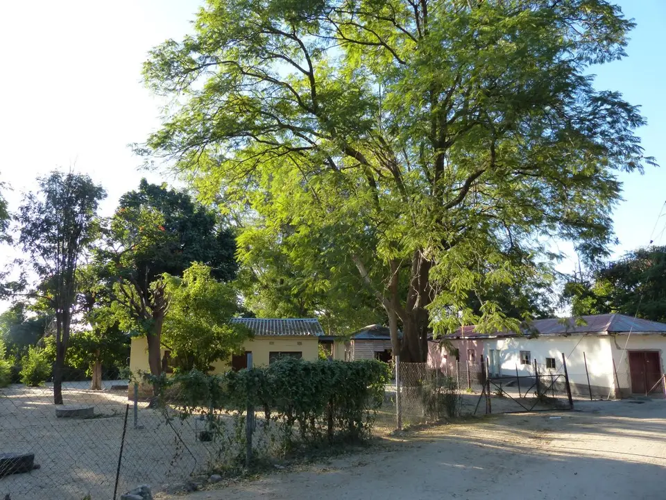 h01b30f5.JPG