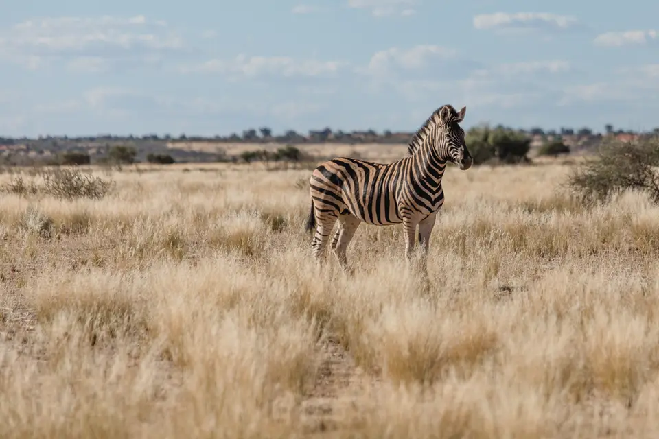 008-Namibia_Reisebericht_2023.jpg