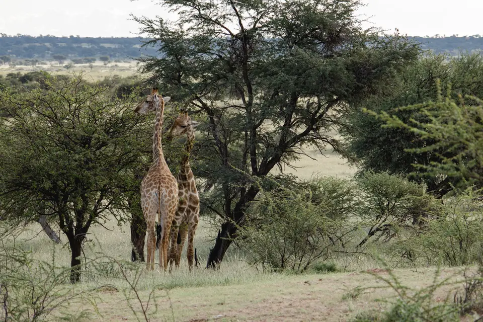 040-Namibia_2026.jpg