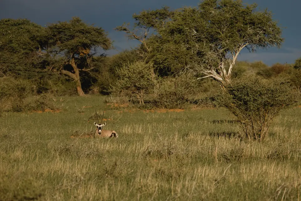 042-Namibia_2026.jpg