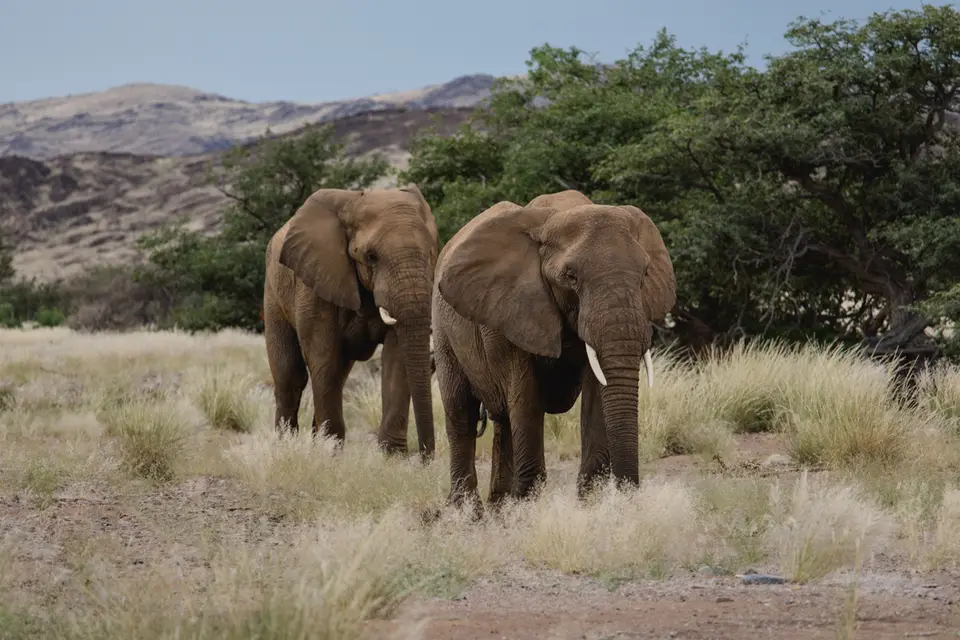 717-Namibia2026.jpg