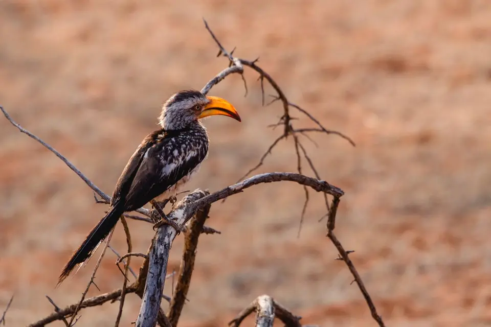 Namibia-12.jpg