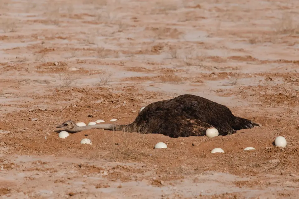 Namibia-24.jpg