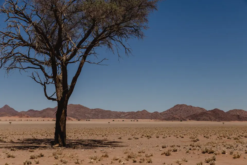 Namibia-348.jpg