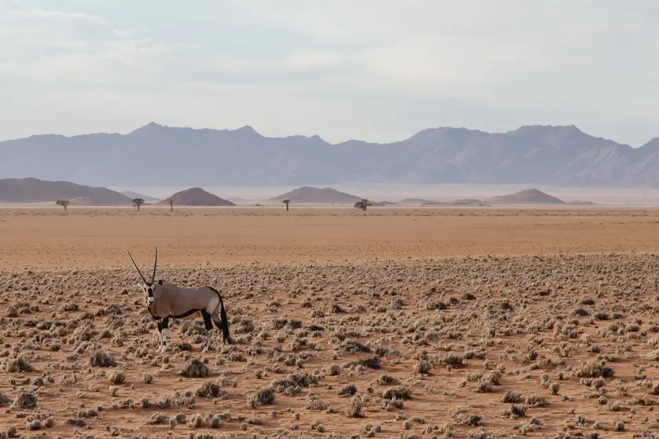 Namibia-388.jpg