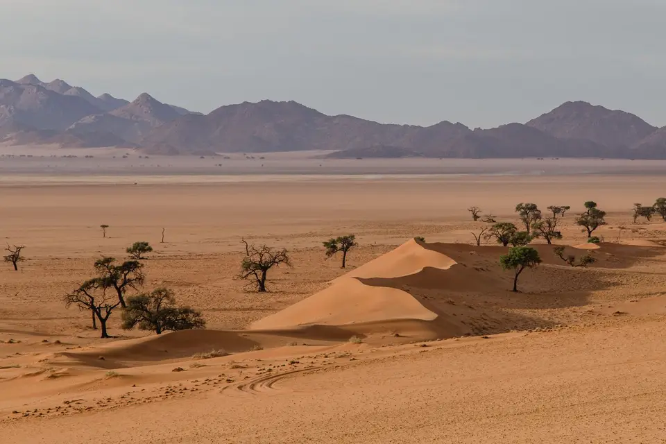 Namibia-390.jpg