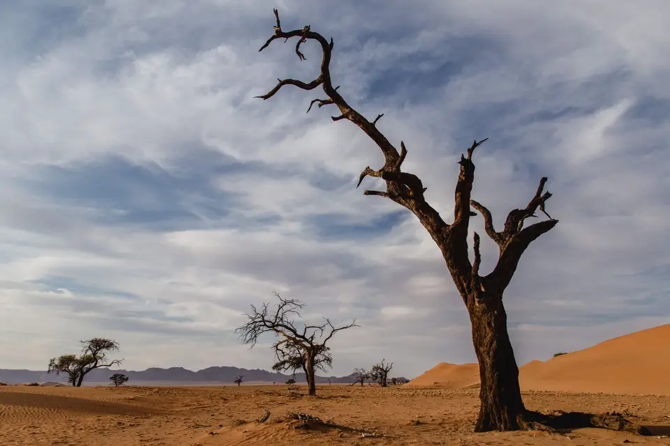 Namibia-392.jpg