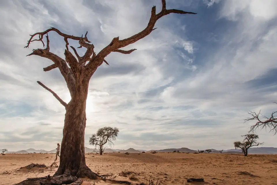 Namibia-393.jpg