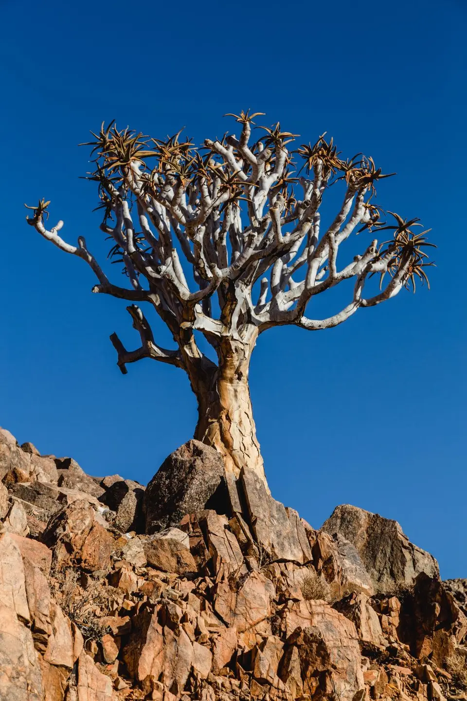 Namibia-397.jpg