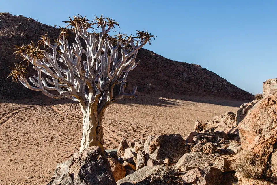 Namibia-398.jpg