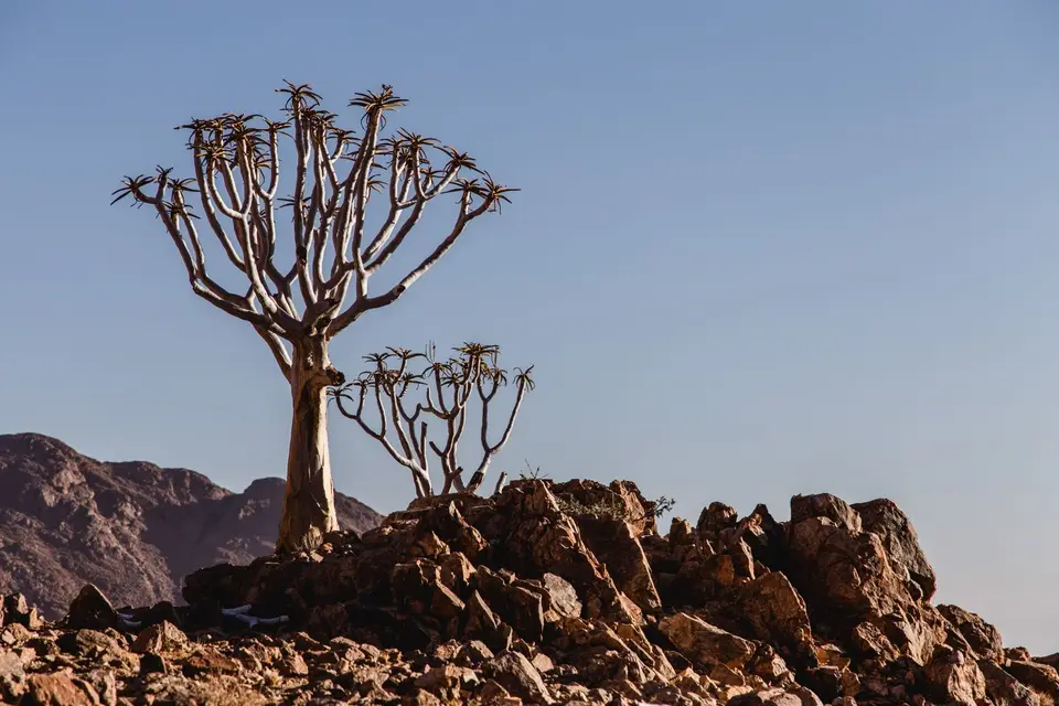 Namibia-400.jpg
