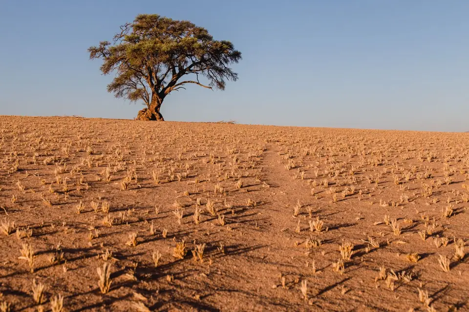 Namibia-407.jpg