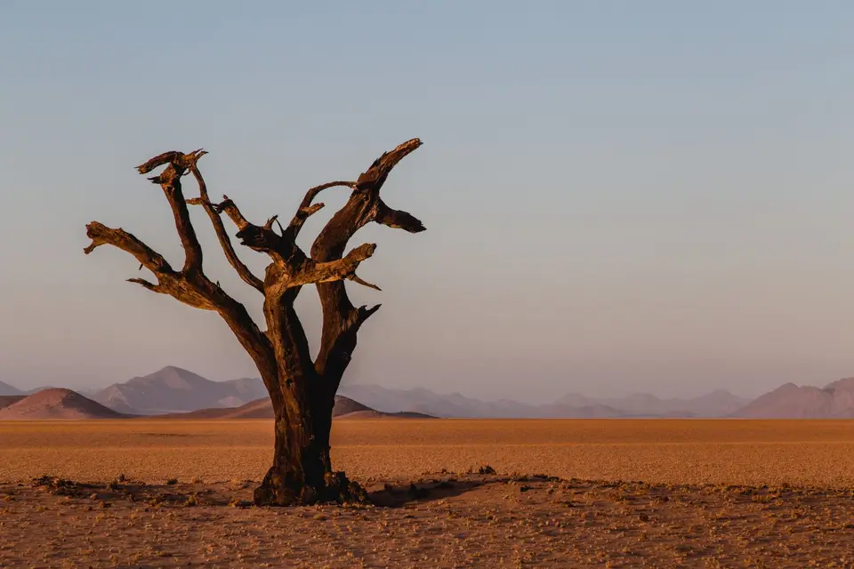 Namibia-412-2.jpg