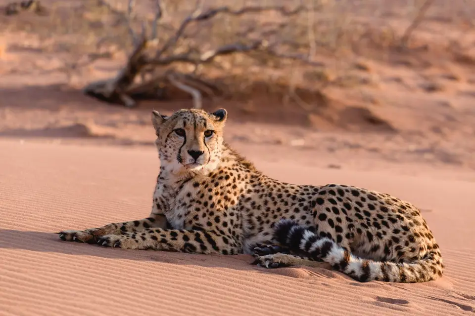 Namibia-439.jpg