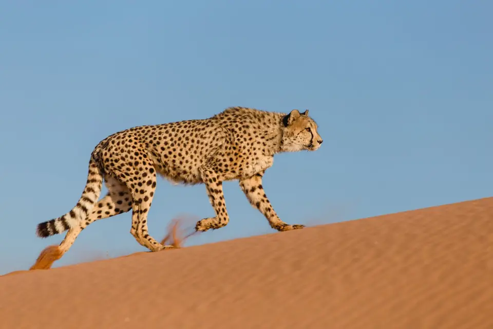 Namibia-481.jpg