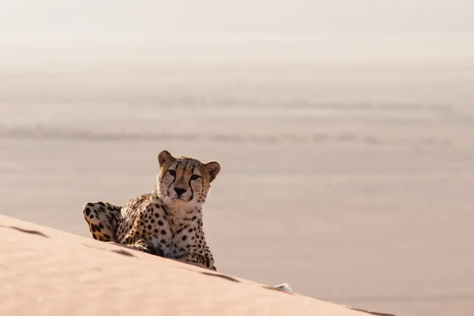 Namibia-483.jpg