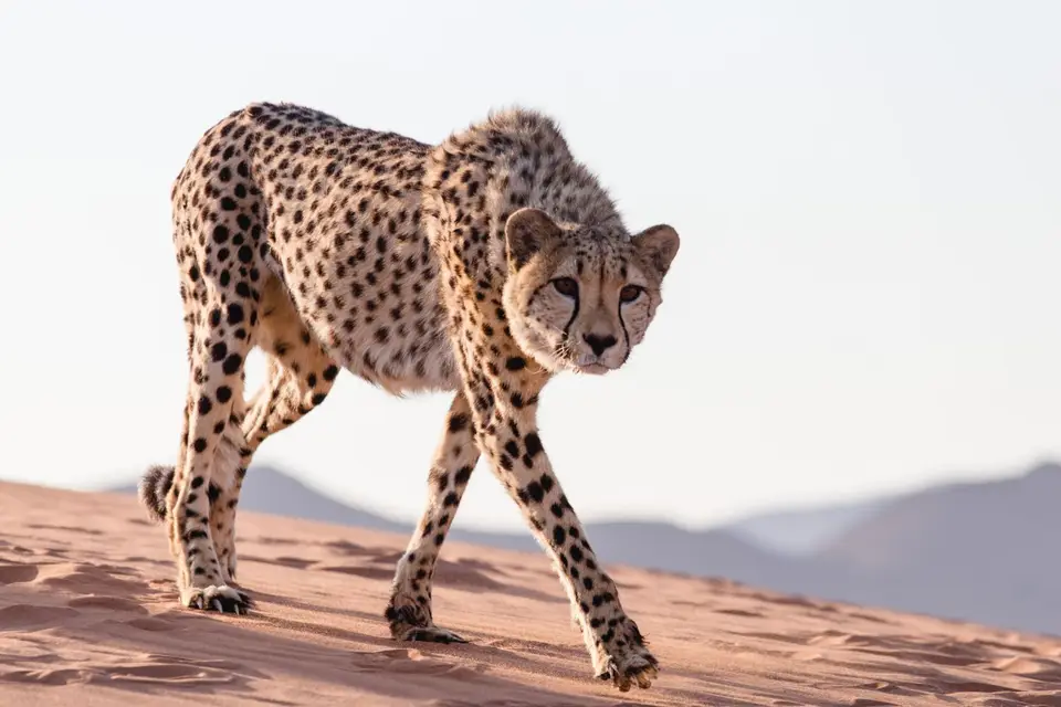 Namibia-484.jpg