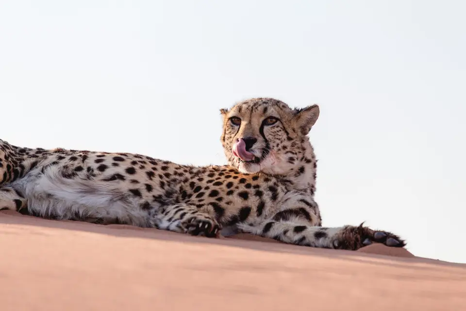 Namibia-489.jpg