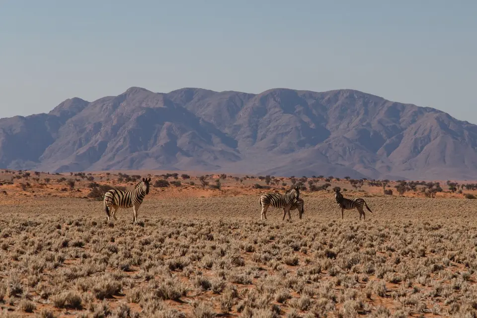 Namibia-511.jpg