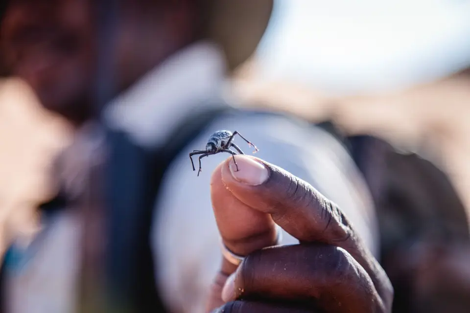 Namibia-517.jpg