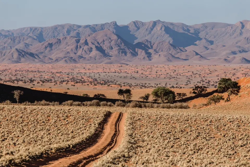 Namibia-529.jpg