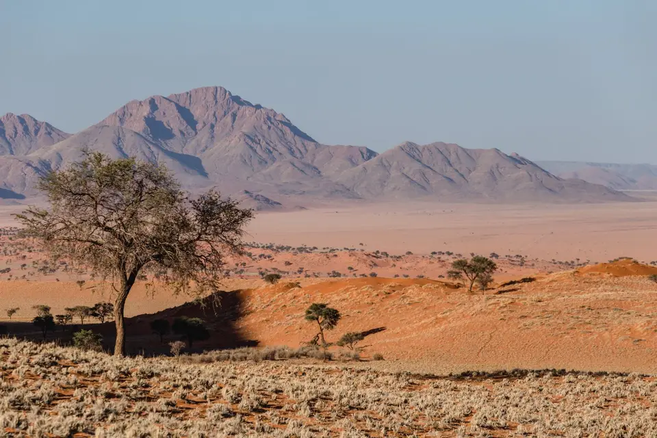 Namibia-531.jpg