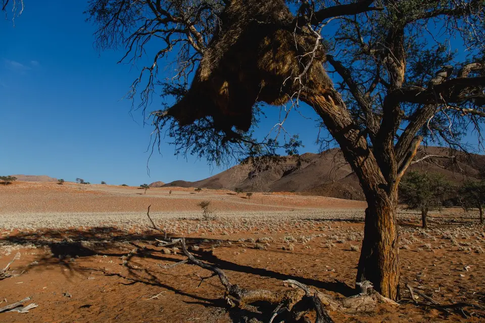 Namibia-549.jpg