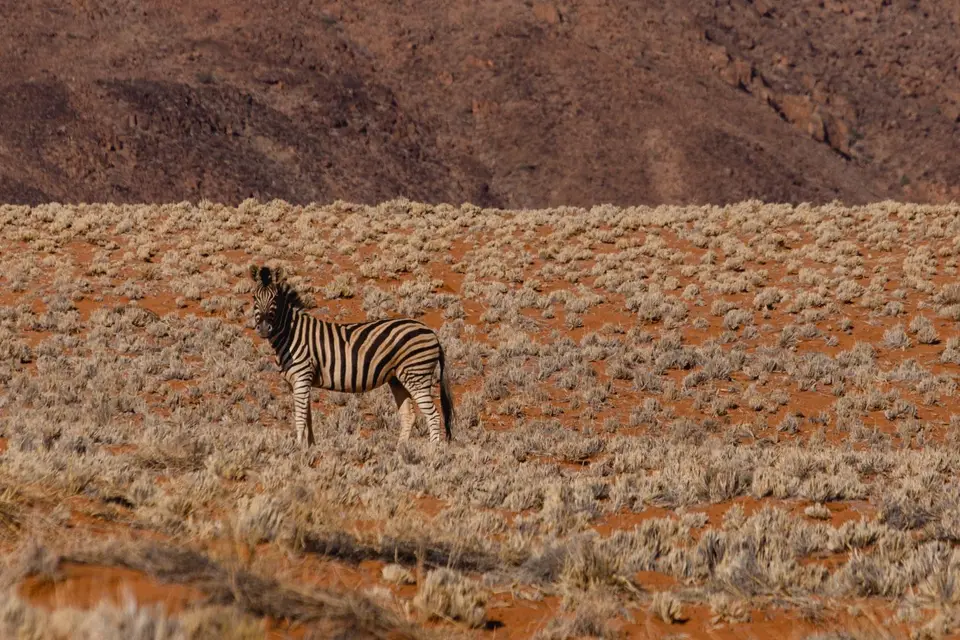 Namibia-553.jpg