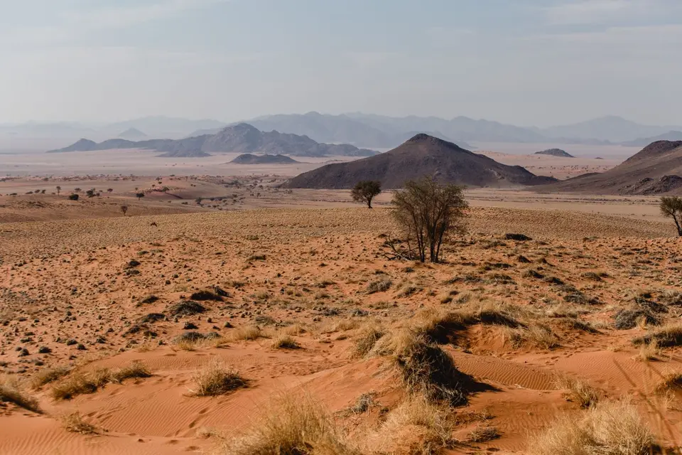Namibia-555.jpg