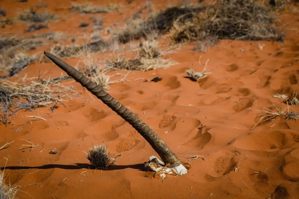 Namibia-579.jpg