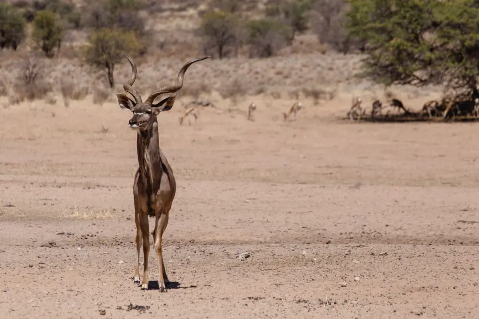 Namibia-67.jpg