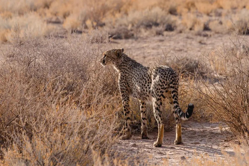 Namibia-96.jpg