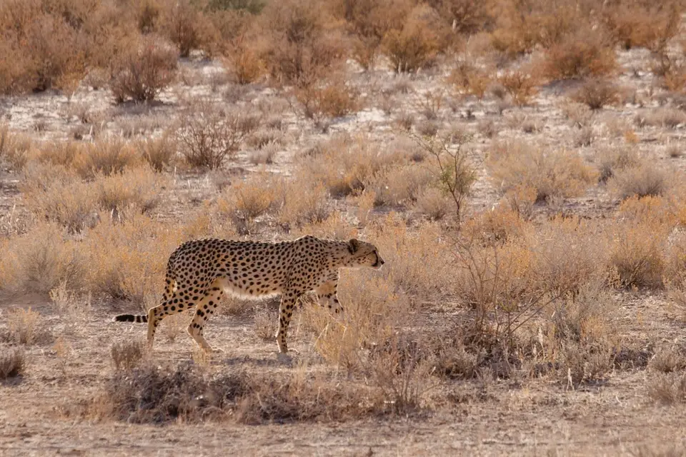 Namibia-97.jpg