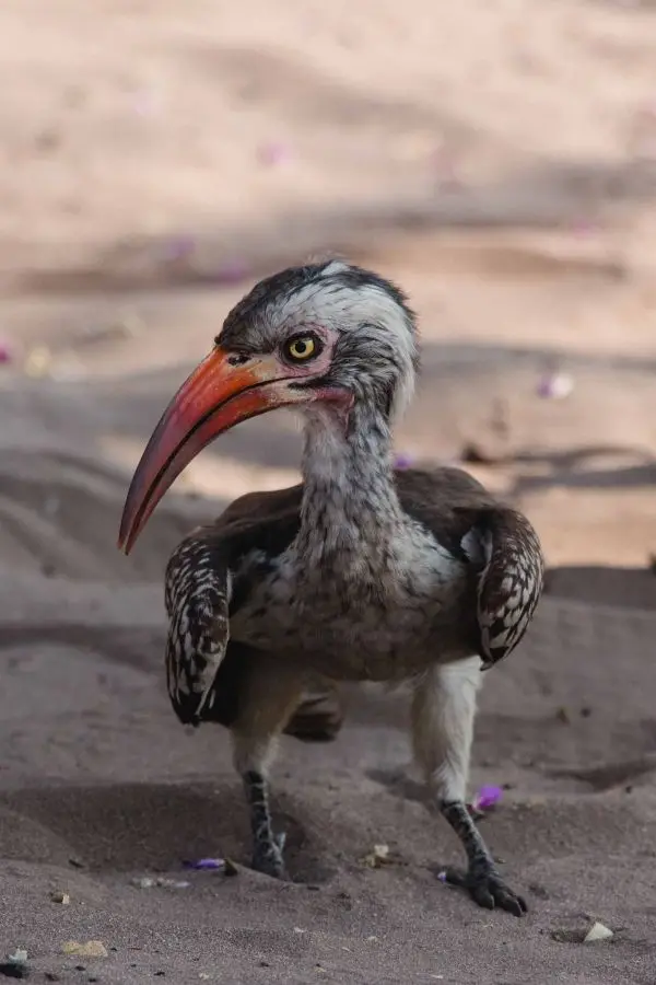h9d7a317.jpg