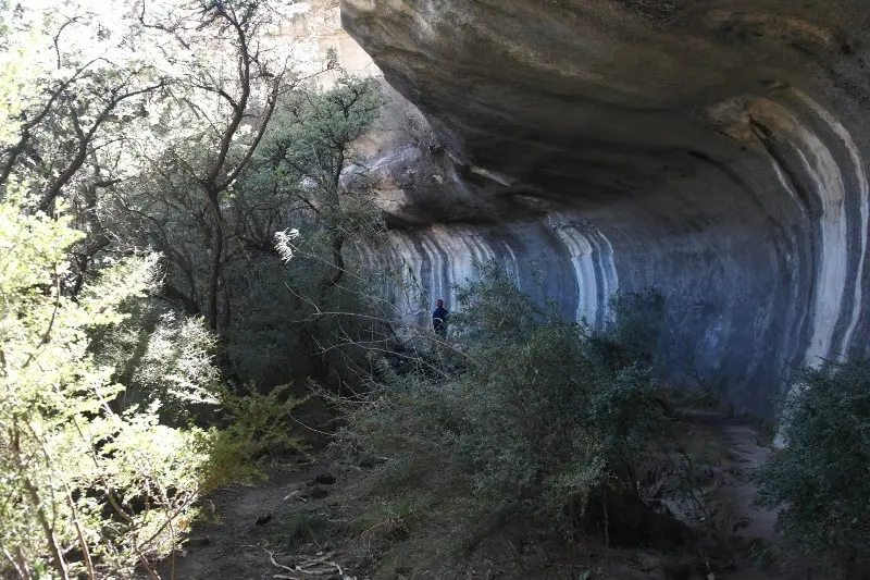 h69d30b6_2013-11-19.JPG