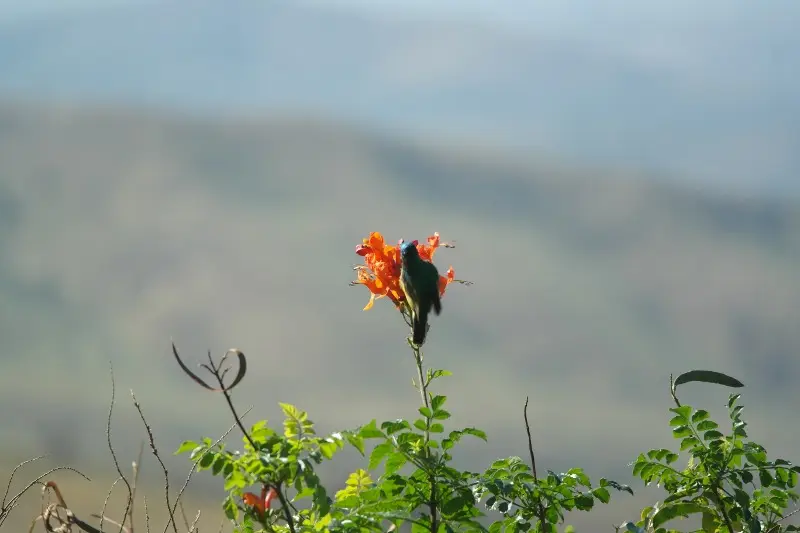hc97d0a6.JPG